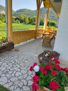 Home Martin Brod Gorizia